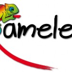 Proefontwerp voor 'De Kameleon' 