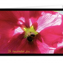 Ik bewonder jou 2(UITVERKOCHT!)