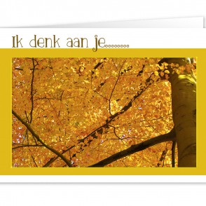 Anam-Design-DenkenAan1VOORKANTTemplForWeb