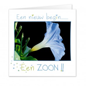 Anam-Design-Zoon1VOORKANTTemplForWeb