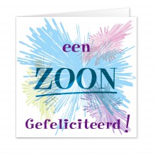 Geboorte Zoon 2