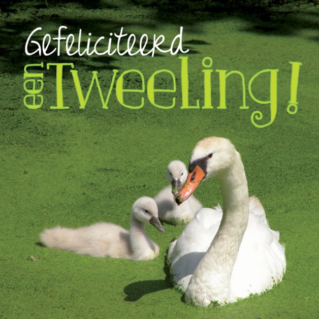 Geboorte Tweeling