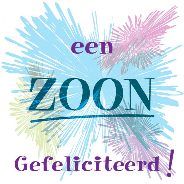 Geboorte Zoon 2