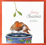 Anam-Design-RobinsEnglishFoto1