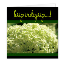 Felicitatie Annabel 3