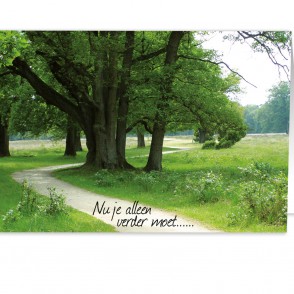 Anam-Design-NuJeAlleenVerderMoetVOORKANTTemplForWeb