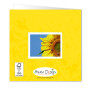 Anam-Design-Beterschap1ACHTERKANTTemplForWeb