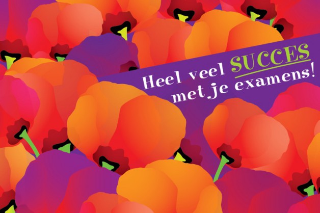 Succes met je examens 2