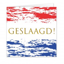 Geslaagd 3