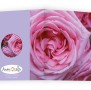 Anam-Design-Roos1BUITENkantTemplForWeb