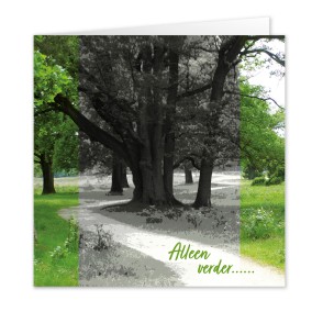 Anam-Design-AlleenVerderVOORKANTTemplForWeb