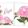 Anam-Design-GetekendePioen2BUITENkantTemplForWeb
