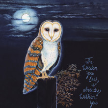 Giclée Fine Art Print: Wisdom Owl